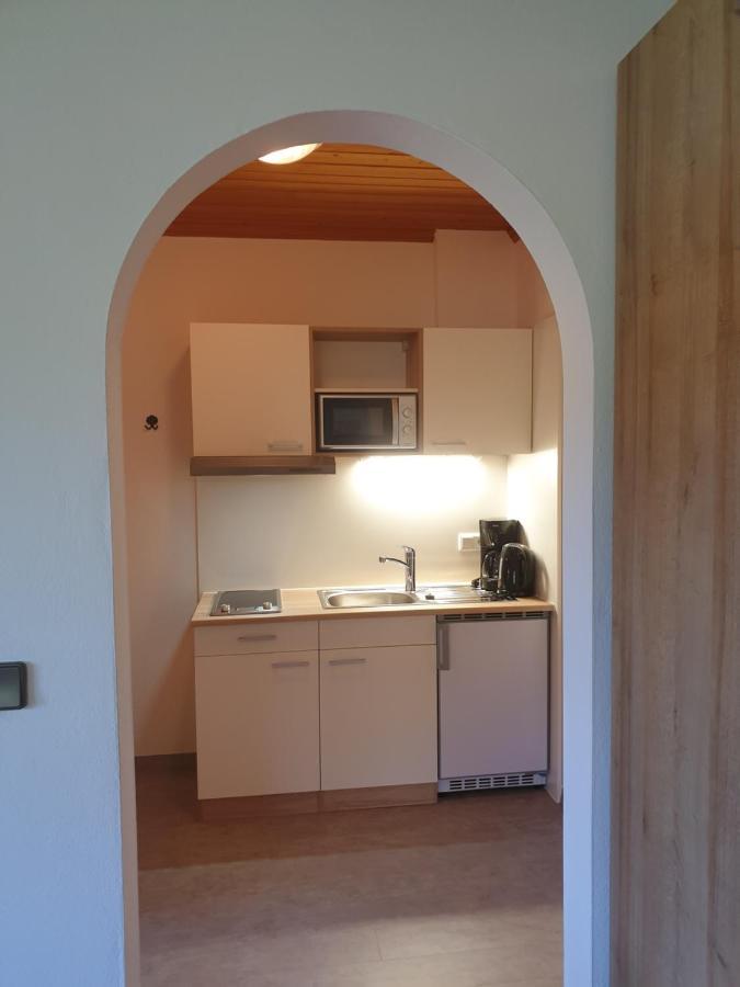 Ahlhof Villa Schladming Exteriör bild