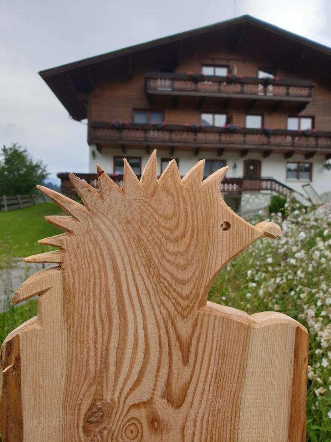 Ahlhof Villa Schladming Exteriör bild